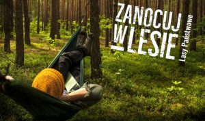 zanocuj w lesie