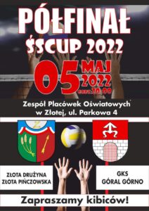 siatkówka