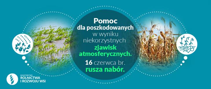 szkody