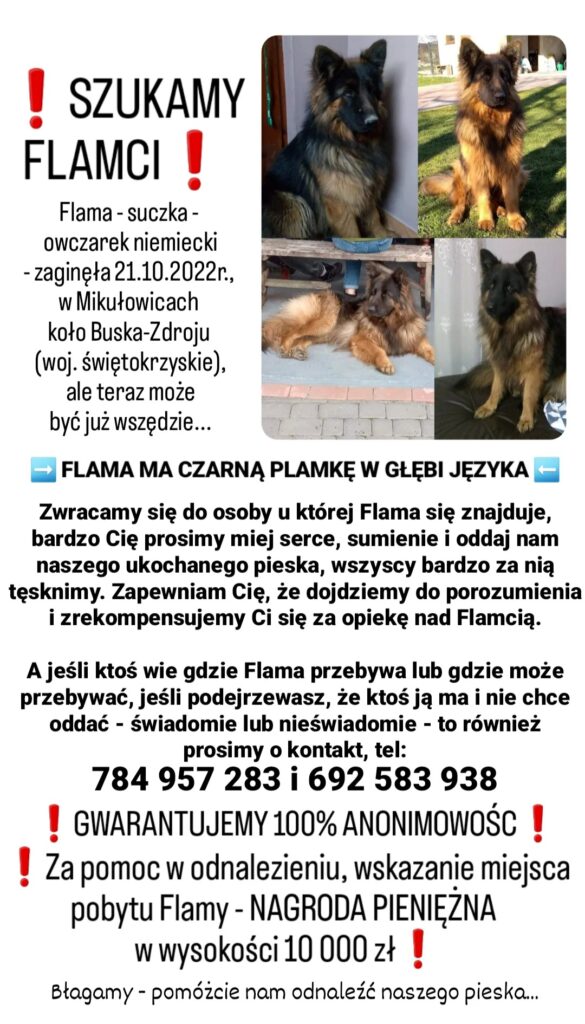 flama