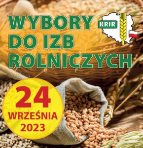 wybory izby