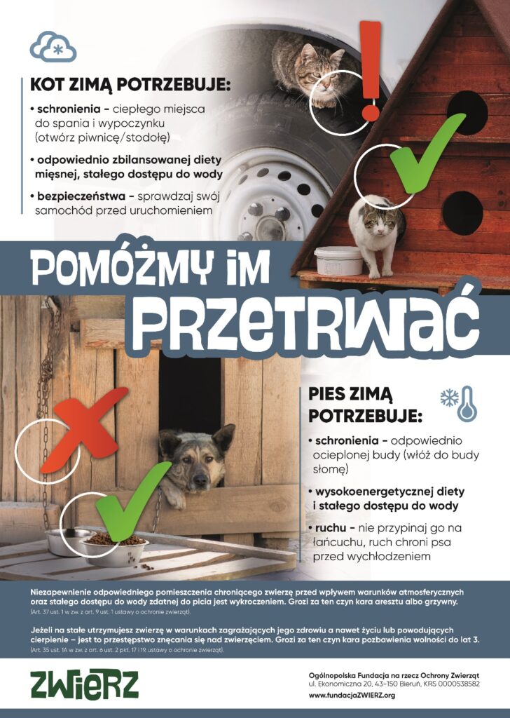 plakat-zima