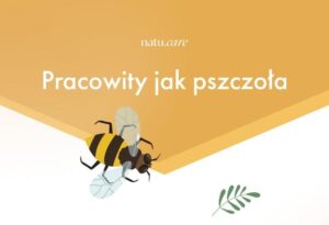 pszczoly